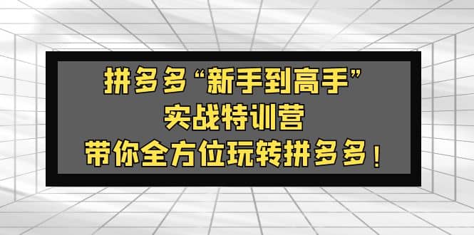 拼多多“新手到高手”实战特训营：带你全方位玩转拼多多-网创社区