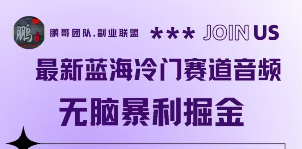 最新蓝海冷门赛道音频，无脑暴利掘金-网创社区