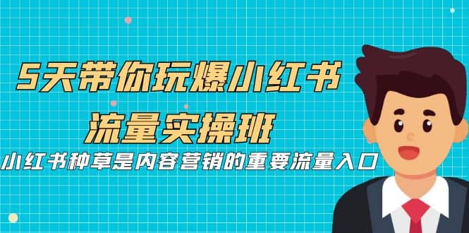 5天带你玩爆小红书流量实操班，小红书种草是内容营销的重要流量入口-网创社区