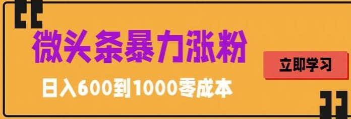 微头条暴力涨粉技巧搬运文案就能涨几万粉丝，简单0成本，日赚600-网创社区