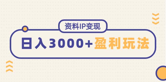 资料IP变现，持续性盈利玩法-网创社区