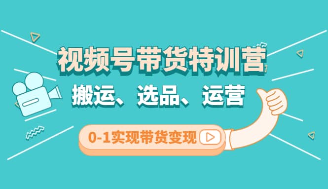 视频号带货特训营(第3期)：搬运、选品、运营、0-1实现带货变现-网创社区