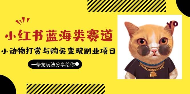小红书蓝海类赛道：小动物打赏与购买变现副业项目，一条龙玩法分享给你-网创社区