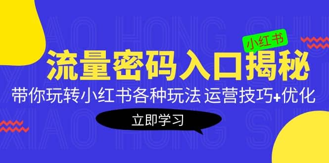 小红书流量密码入口揭秘：带你玩转小红书各种玩法 运营技巧+优化-网创社区