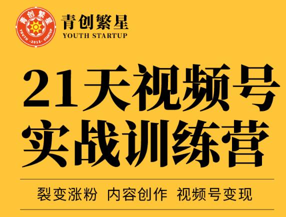 张萌21天视频号实战训练营，裂变涨粉、内容创作、视频号变现 价值298元-网创社区