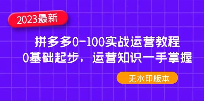 2023拼多多0-100实战运营教程，0基础起步，运营知识一手掌握（无水印）-网创社区