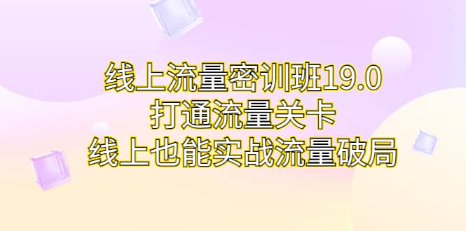 线上流量密训班19.0，打通流量关卡，线上也能实战流量破局-网创社区