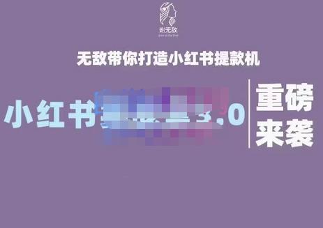 谢无敌·小红书实战营3.0，无敌带你打造小红书提款机 价值7999元-网创社区