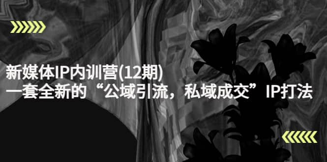 新媒体IP内训营(12期)，一套全新的“公域引流，私域成交”IP打法，直接带走-网创社区