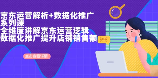 京东运营解析与数据化推广系列课，全维度讲解京东运营逻辑+数据化推广提升店铺销售额-网创社区