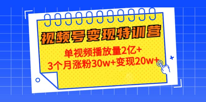20天视频号变现特训营：单视频播放量2亿+-网创社区