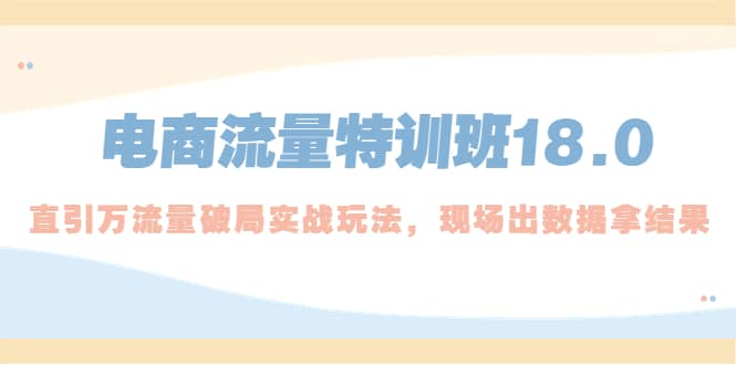 电商流量特训班18.0，直引万流量破局实操玩法，现场出数据拿结果-网创社区