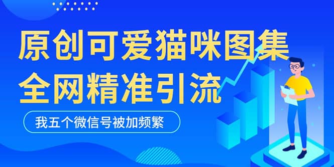 黑科技纯原创可爱猫咪图片，全网精准引流，实操5个VX号被加频繁-网创社区