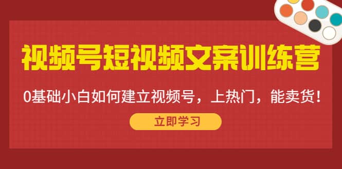 视频号短视频文案训练营：0基础小白如何建立视频号，上热门，能卖货！-网创社区