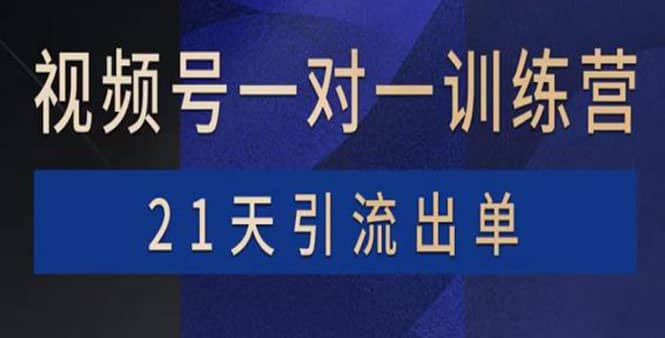 视频号训练营：带货，涨粉，直播，游戏，四大变现新方向，21天引流出单-网创社区