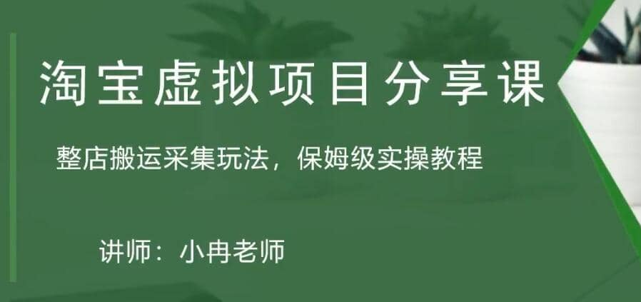 淘宝虚拟整店搬运采集玩法分享课：整店搬运采集玩法，保姆级实操教程-网创社区