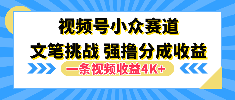 视频号小众赛道，文笔挑战，一条视频收益4K+-网创社区