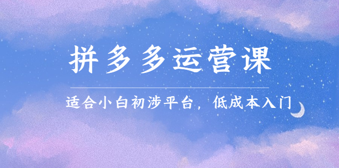 拼多多运营课，适合小白初涉平台，低成本入门-网创社区