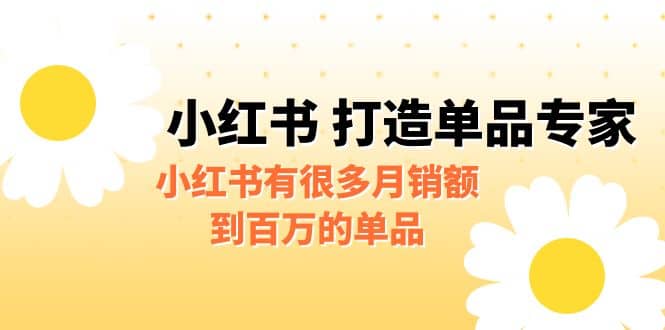 某公众号付费文章《小红书 打造单品专家》小红书有很多月销额到百万的单品-网创社区
