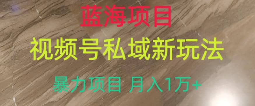 蓝海项目，视频号私域新玩法，暴力项目月入1万+【揭秘】-网创社区