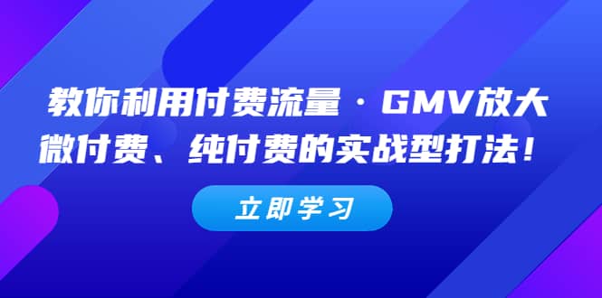 教你利用付费流量·GMV放大，微付费、纯付费的实战型打法-网创社区