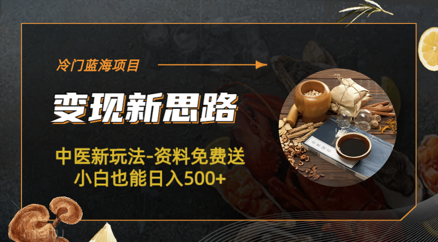 冷门蓝海项目-中医新玩法-冷门蓝海项目-中医新玩法-资料免费送小白也能日入500+500+-网创社区