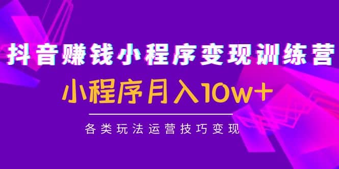 抖音小程序变现训练营：小程序各类玩法运营技巧变现-网创社区