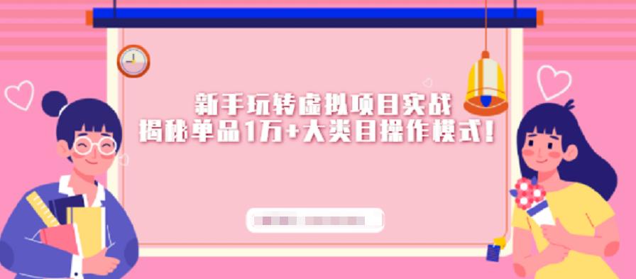 新手玩转虚拟项目实战，揭秘单品1万+大类目操作模式【视频课程】-网创社区