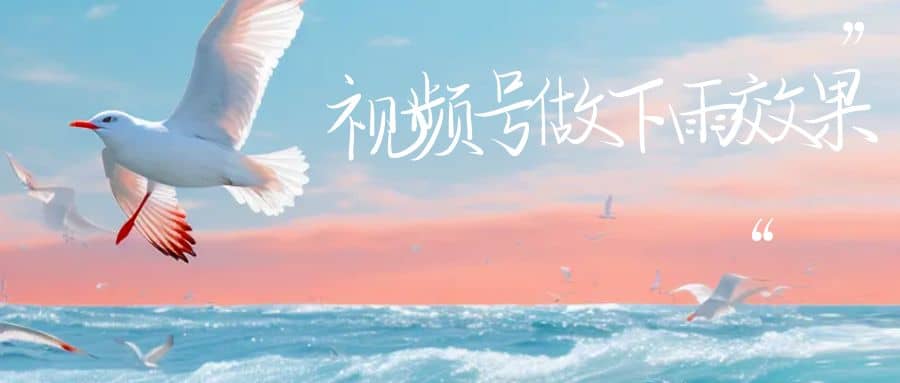 视频号做下雨视频一个账号一周涨粉10W+年入100w-网创社区