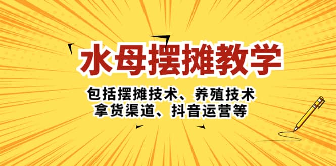 水母·摆摊教学，包括摆摊技术、养殖技术、拿货渠道、抖音运营等-网创社区