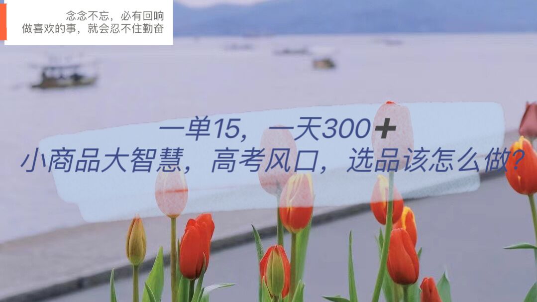 一单15，一天300+，小商品大智慧，高考风口，选品该怎么布局-网创社区