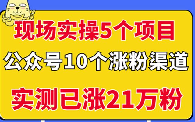 现场实操5个公众号项目，10个涨粉渠道，实测已涨21万粉！-网创社区
