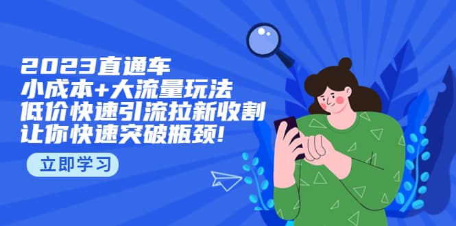 2023直通小成本+大流量玩法，低价快速引流拉新收割，让你快速突破瓶颈-网创社区