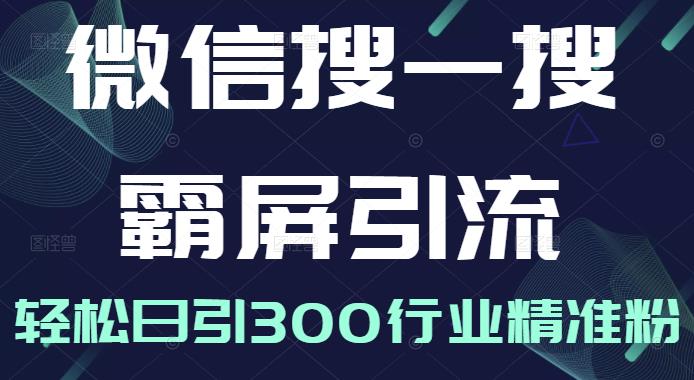 微信搜一搜霸屏引流课，打造被动精准引流系统，轻松日引300行业精准粉【无水印】-网创社区
