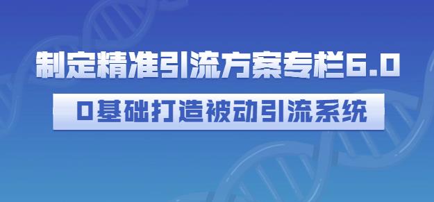 制定精准引流方案专栏6.0，0基础打造被动引流系统-网创社区