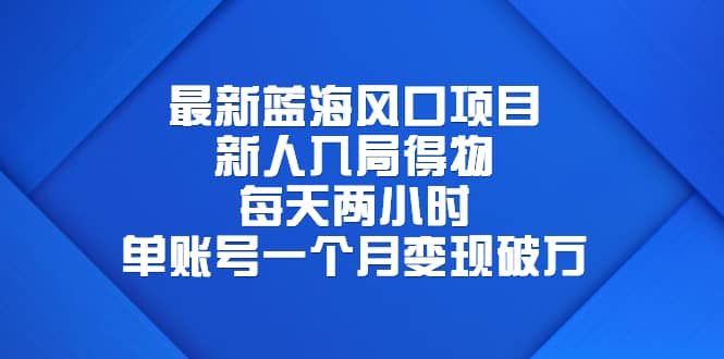 最新蓝海风口项目，新人入局得物，每天两小时，单账号一个月变现破万-网创社区