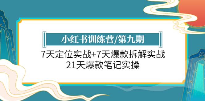 小红书训练营/第九期：7天定位实战+7天爆款拆解实战，21天爆款笔记实操-网创社区