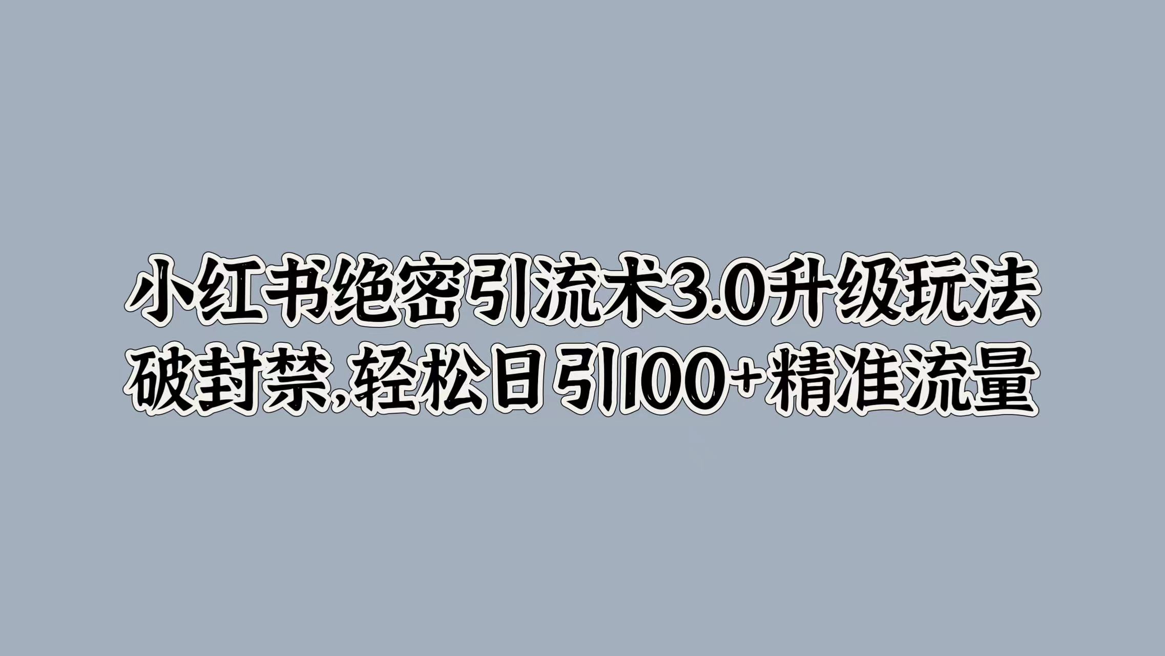 小红书绝密引流术3.0升级玩法，破封禁，轻松日引100+精准流量-网创社区
