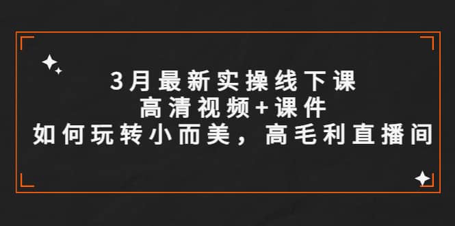3月最新实操线下课高清视频+课件，如何玩转小而美，高毛利直播间-网创社区