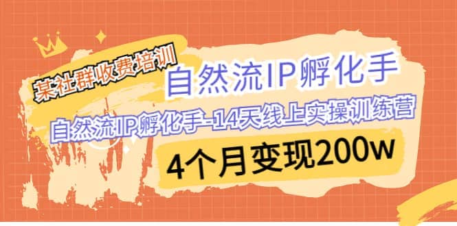 某社群收费培训：自然流IP 孵化手-14天线上实操训练营 4个月变现200w-网创社区