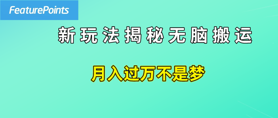 简单操作，每天50美元收入，搬运就是赚钱的秘诀！-网创社区
