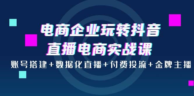 电商企业玩转抖音直播电商实战课：账号搭建+数据化直播+付费投流+金牌主播-网创社区