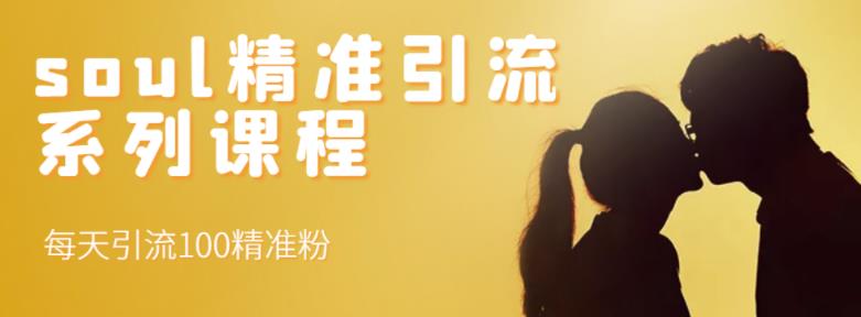 soul精准引流系列课程，每天引流100精准粉-网创社区