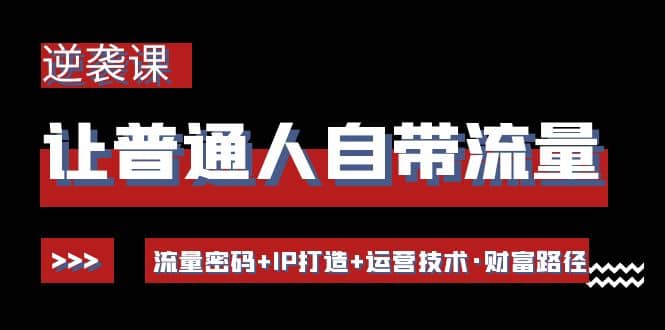 让普通人自带流量的逆袭课：流量密码+IP打造+运营技术·财富路径-网创社区