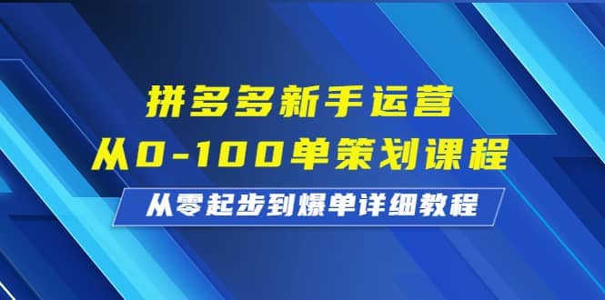 拼多多新手运营从0-100单策划课程，从零起步到爆单详细教程-网创社区