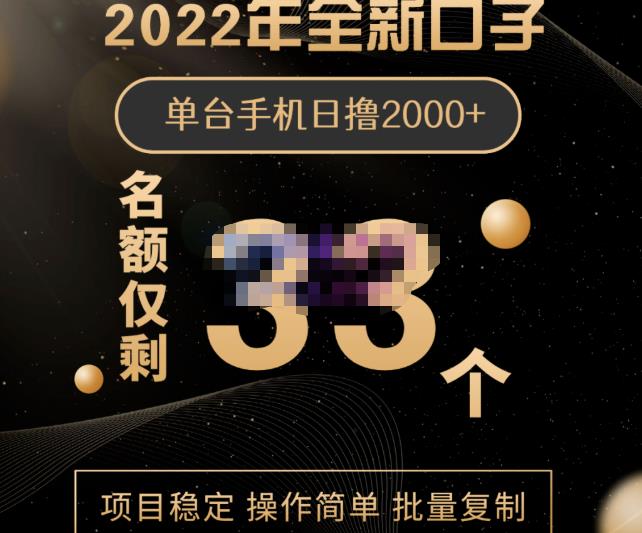 2022年全新口子，手机批量搬砖玩法，一部手机日撸2000+-网创社区