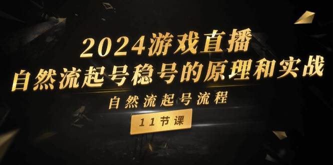 2024游戏直播-自然流起号稳号的原理和实战，自然流起号流程（11节）-网创社区