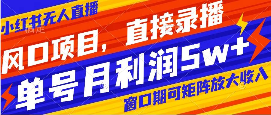 风口项目，小红书无人直播带货，直接录播，可矩阵，月入5w+-网创社区