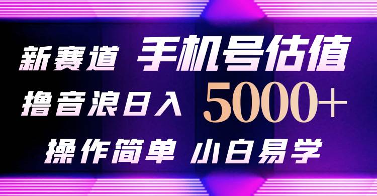 抖音不出境直播【手机号估值】最新撸音浪，日入5000+，简单易学，适合…-网创社区