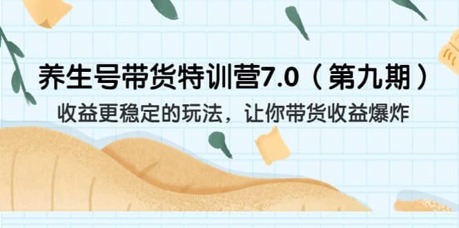 养生号带货特训营7.0（第九期）收益更稳定的玩法 让你带货收益爆炸（11节）-网创社区